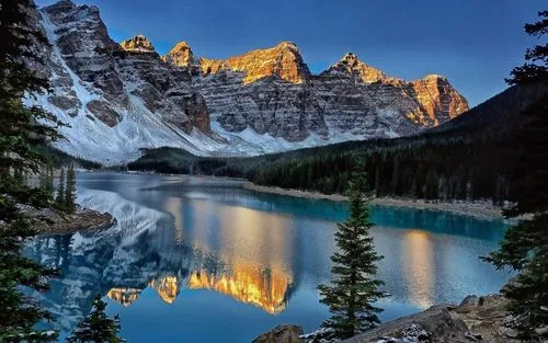 电子高标准高标准
